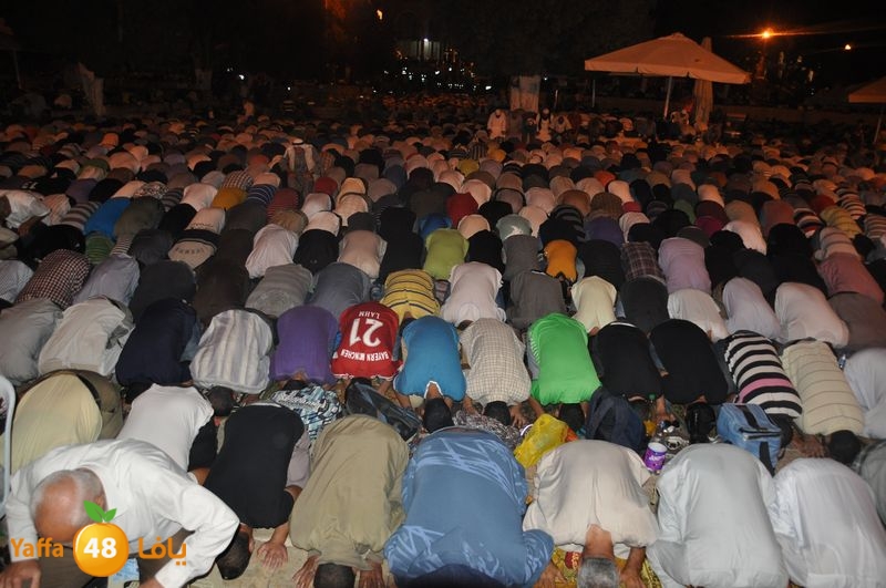 lud trawer7 aqsa 805 (66).JPG